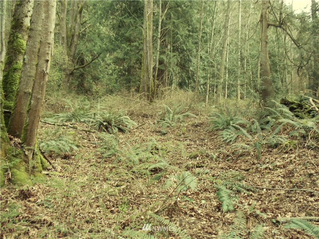 19820 Anderson Road Mount Vernon, WA 98274 - Photo 3 of 7 Gallery Image 3