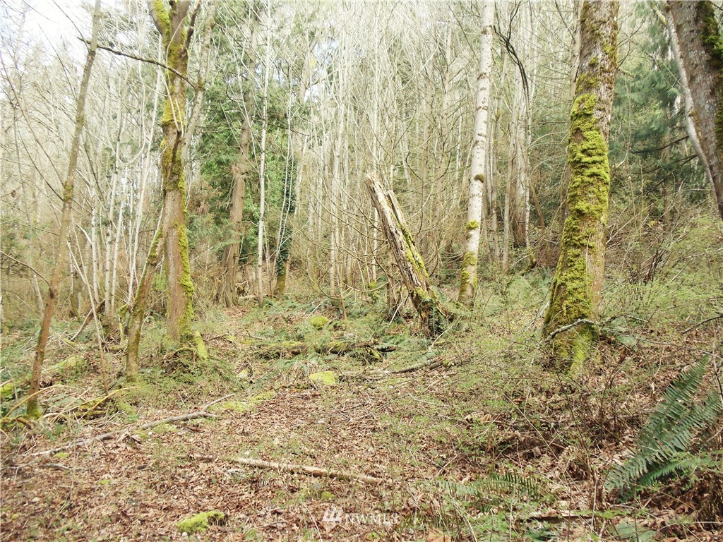 19820 Anderson Road Mount Vernon, WA 98274 - Photo 4 of 7 Gallery Image 4