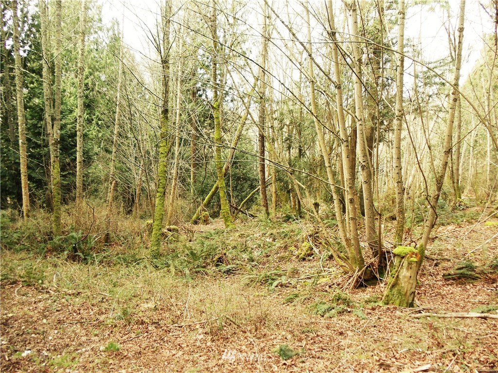 19820 Anderson Road Mount Vernon, WA 98274 - Photo 6 of 7 Gallery Image 6