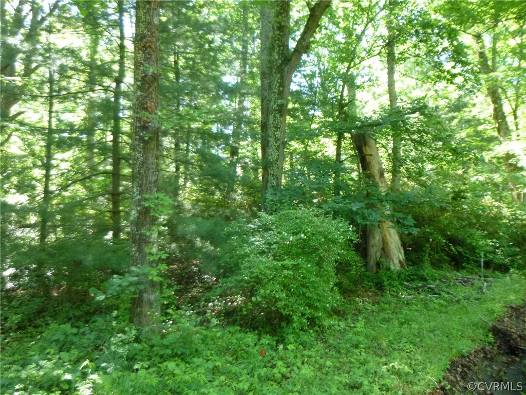 4640 Arrowhead Road Richmond, VA 23235 - Photo 4 of 9