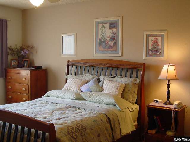 4717 Killdeer Road Carson City, NV 89701 - Photo 8 of 9 Photo 8