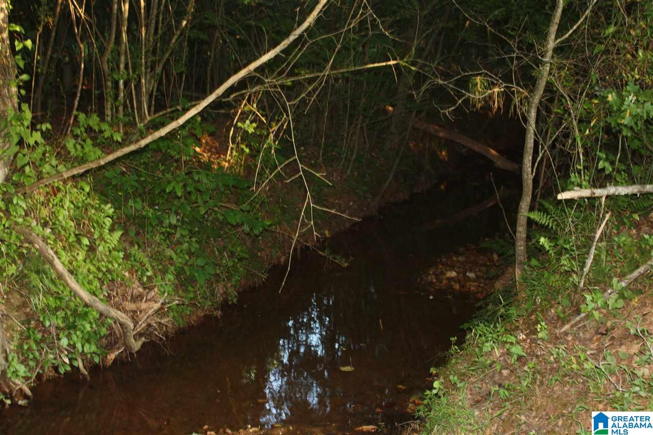 0 Louina Road Roanoke, AL 36274 - Photo 15 of 33