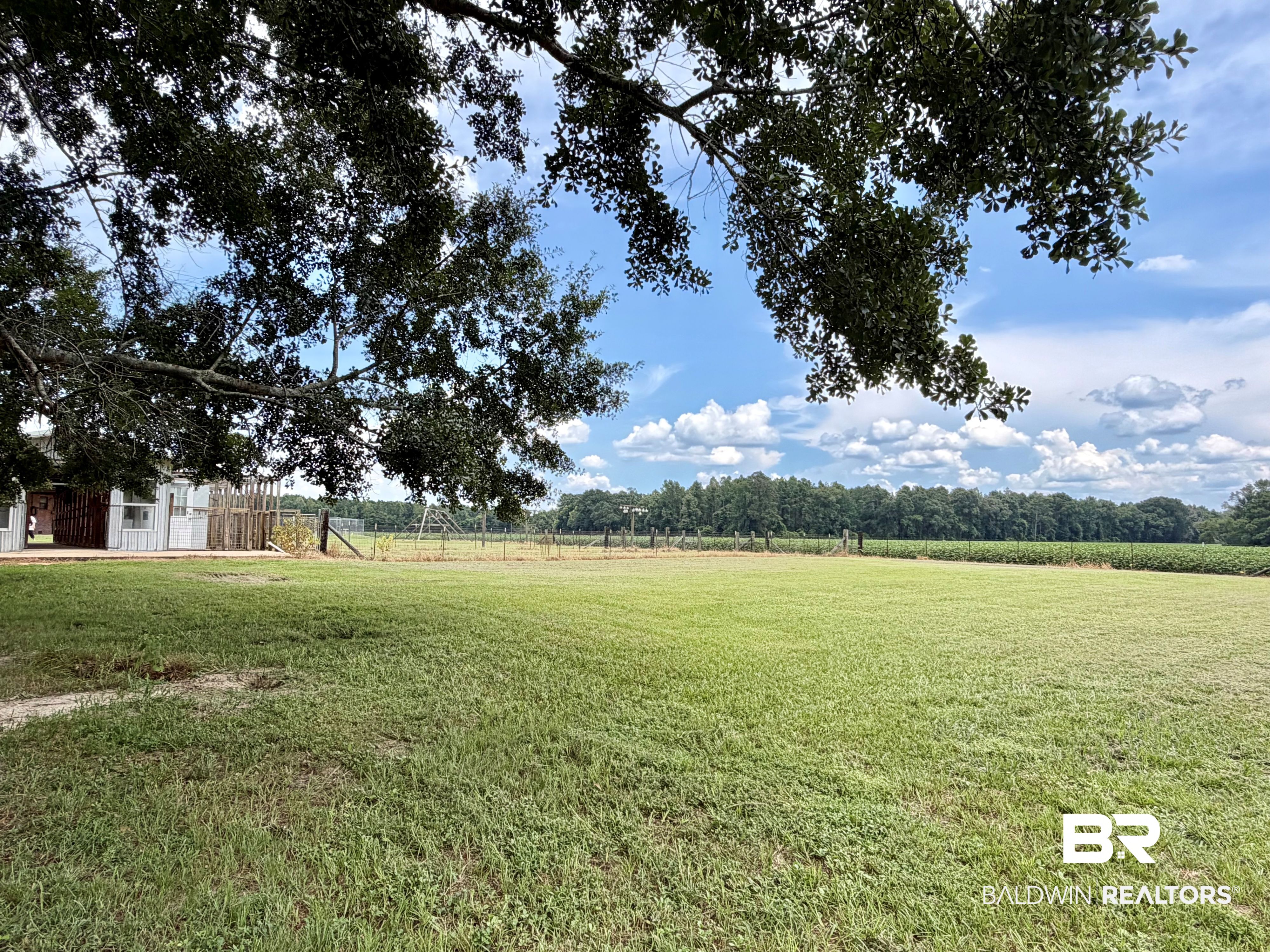 195 Cook Pond Road Brewton, AL 36426 - Photo 7 of 42 Gallery Image 7