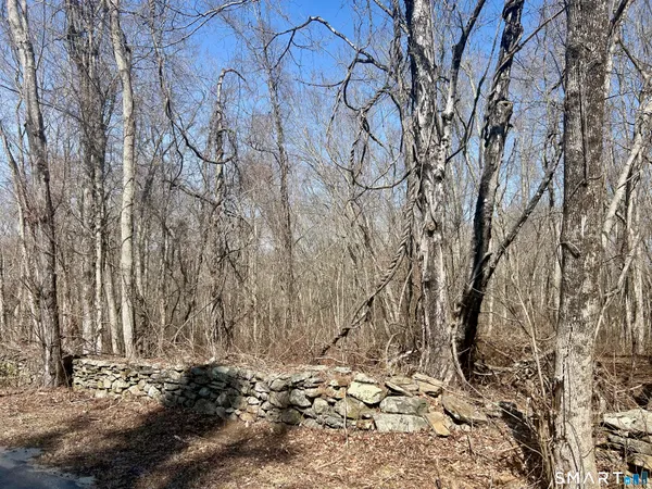 a backyard of a house with a large tree