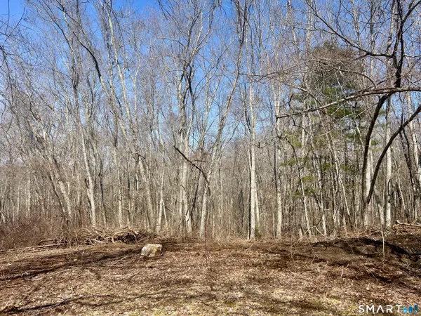 a view of a backyard of the house