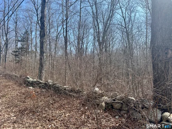 a view of a backyard of the house