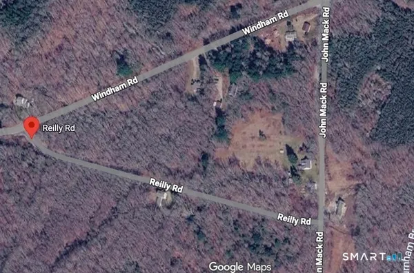 a view of a dry yard with lots of trees