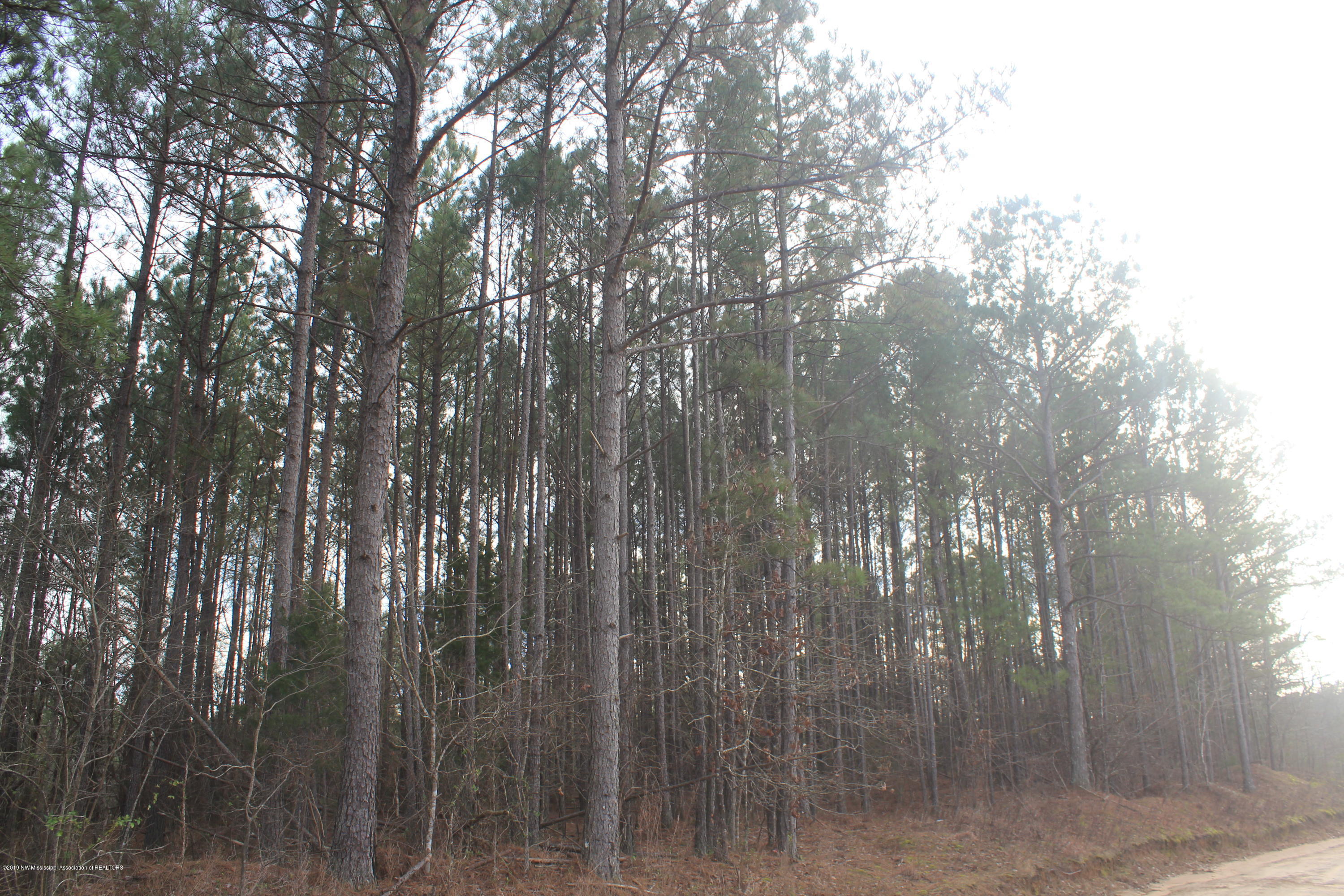 35 Lower Gurley Road Potts Camp, MS 38659 - Photo 1 of 9 058
