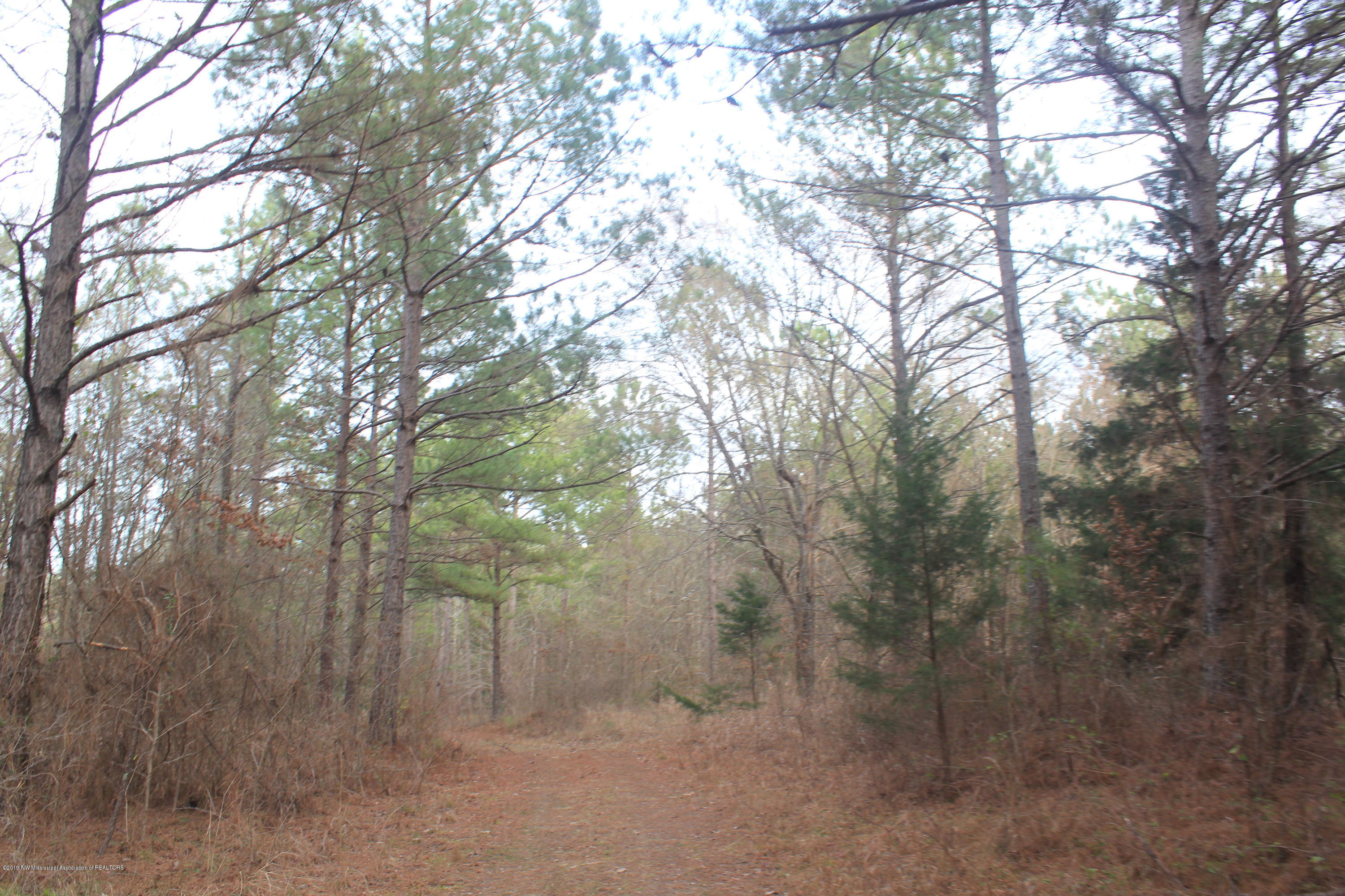 35 Lower Gurley Road Potts Camp, MS 38659 - Photo 3 of 9 061