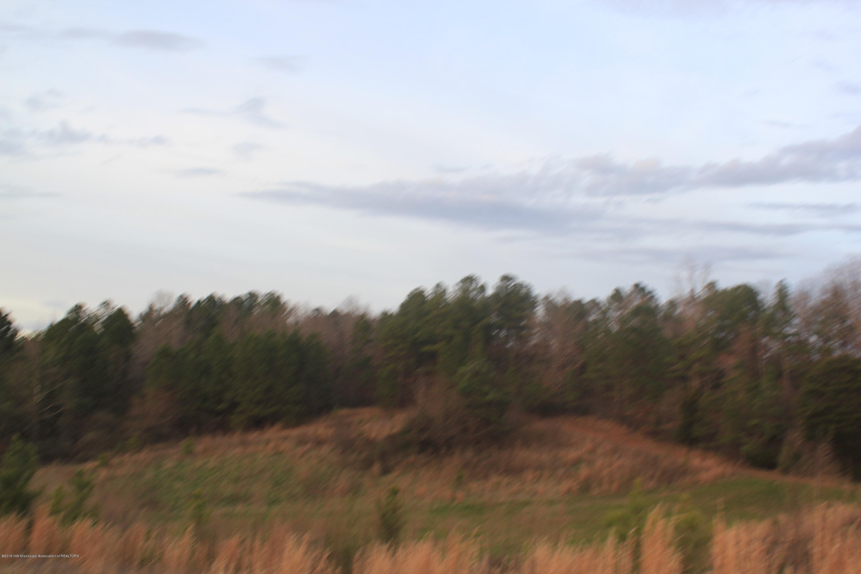 35 Lower Gurley Road Potts Camp, MS 38659 - Photo 9 of 9 111