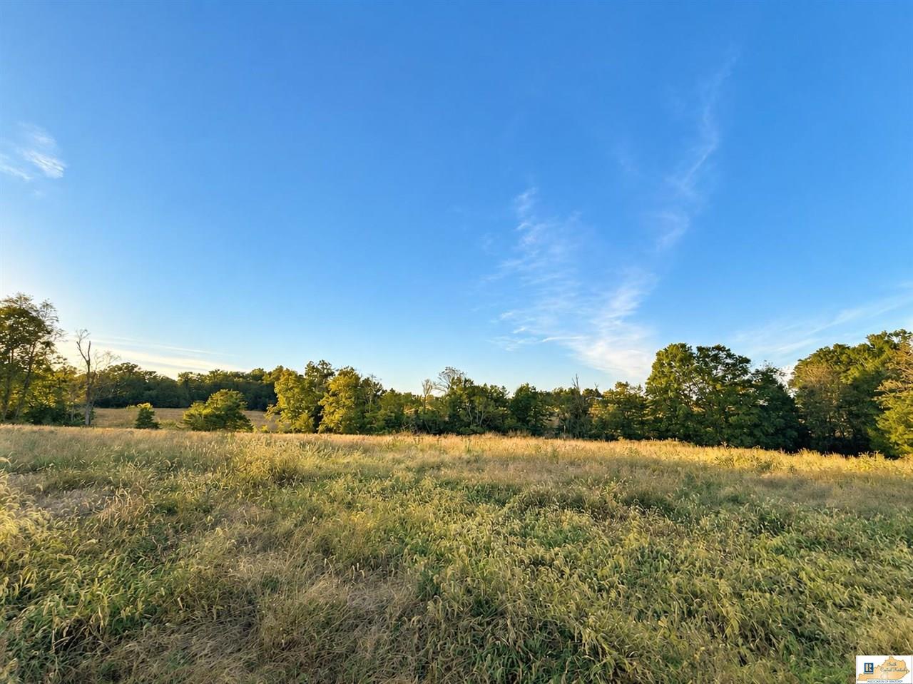 0 Stanley Syra Road Edmonton, KY 42129 - Photo 3 of 28 Gallery Image 3