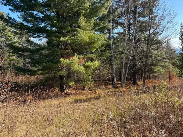 $125,000 | 35365 Old Orchard Lane, Bayfield, WI 54814