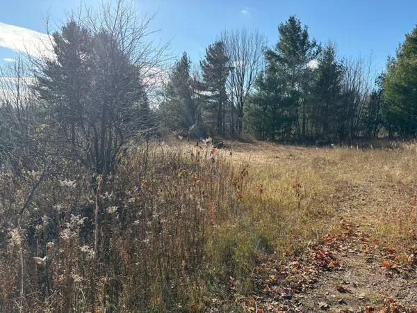 $125,000 | 35365 Old Orchard Lane, Bayfield, WI 54814