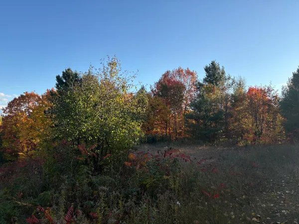 $125,000 | 35365 Old Orchard Lane, Bayfield, WI 54814