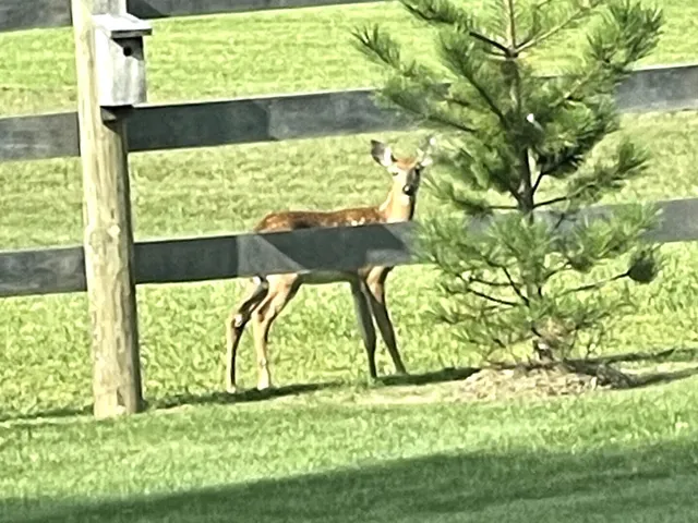 $1,150,000 | N96W20978 County Line Road, Germantown, WI 53017