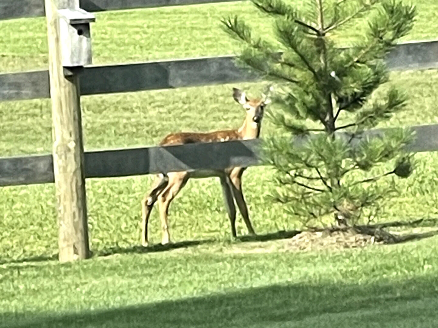 N96W20978 County Line Road Germantown, WI 53017 - Photo 30 of 30 N96W20978CountyLineRd_60874_30