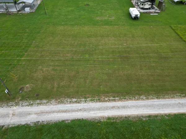 a view of a yard