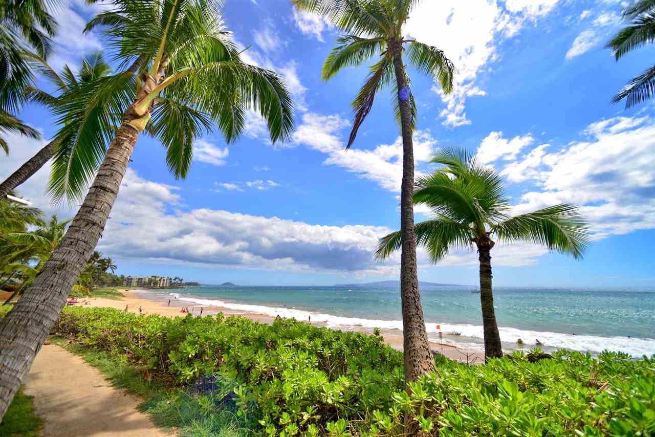 2219 South Kihei Road, Unit B216 Kihei, HI 96753 - Photo 22 of 29 a view of yard