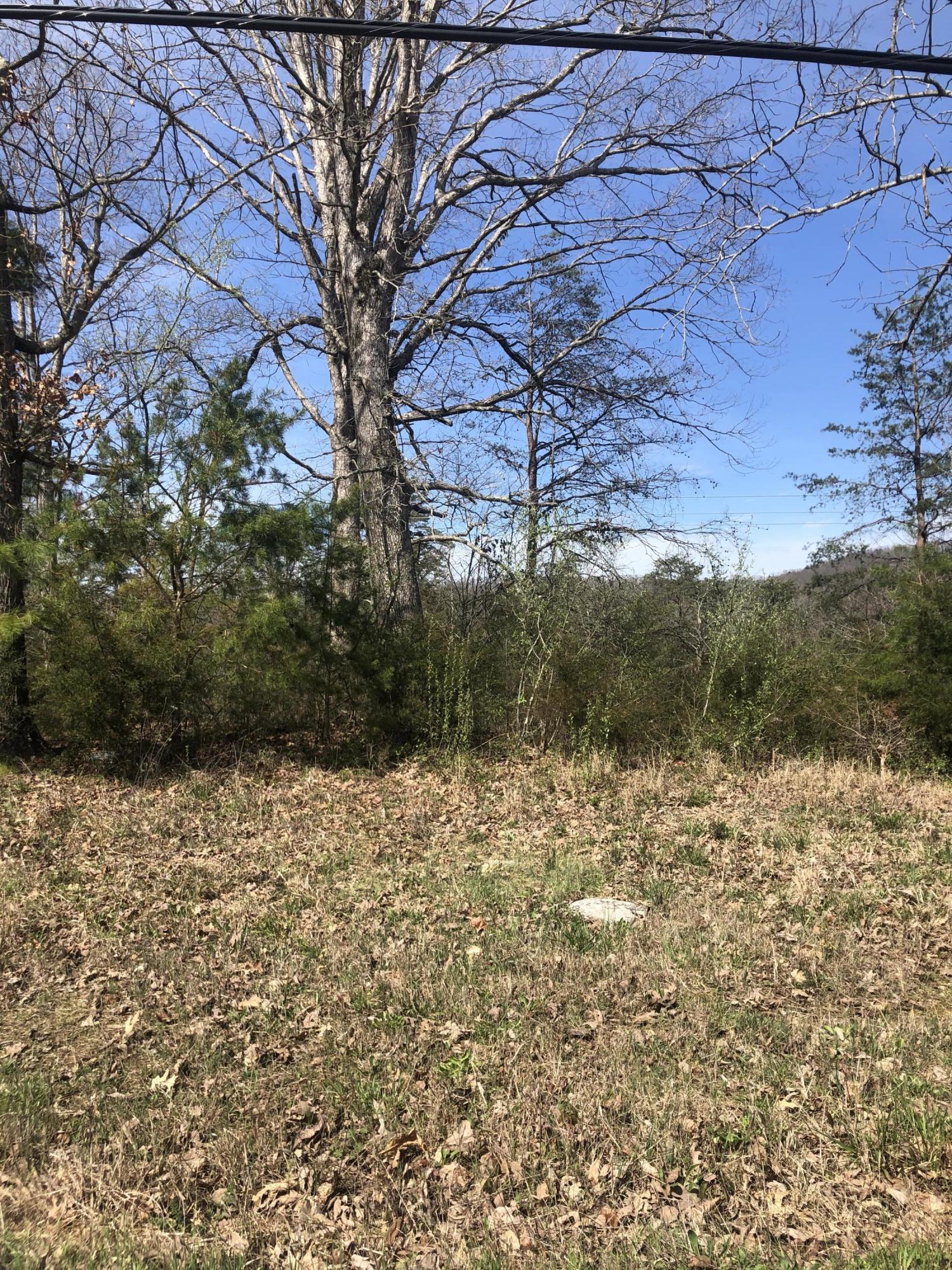 0 Kelly Pl Road Somerset, KY 42501 - Photo 1 of 1 498BAC44-518D-46A4-A6EE-28E2C69FD4FB<|><