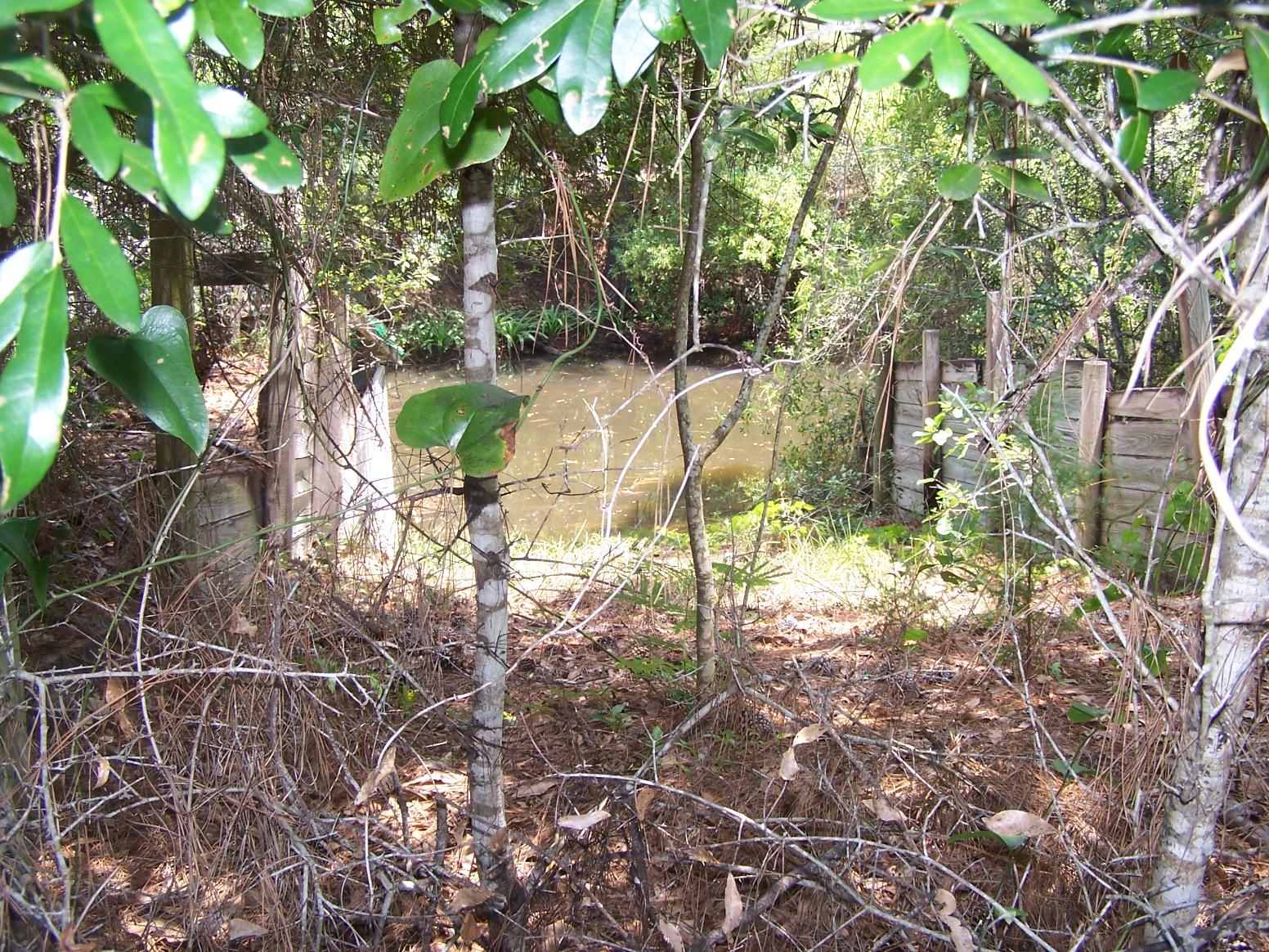 1-2 3 Ruth Road Freeport, FL 32439 - Photo 3 of 5 Gallery Image 3