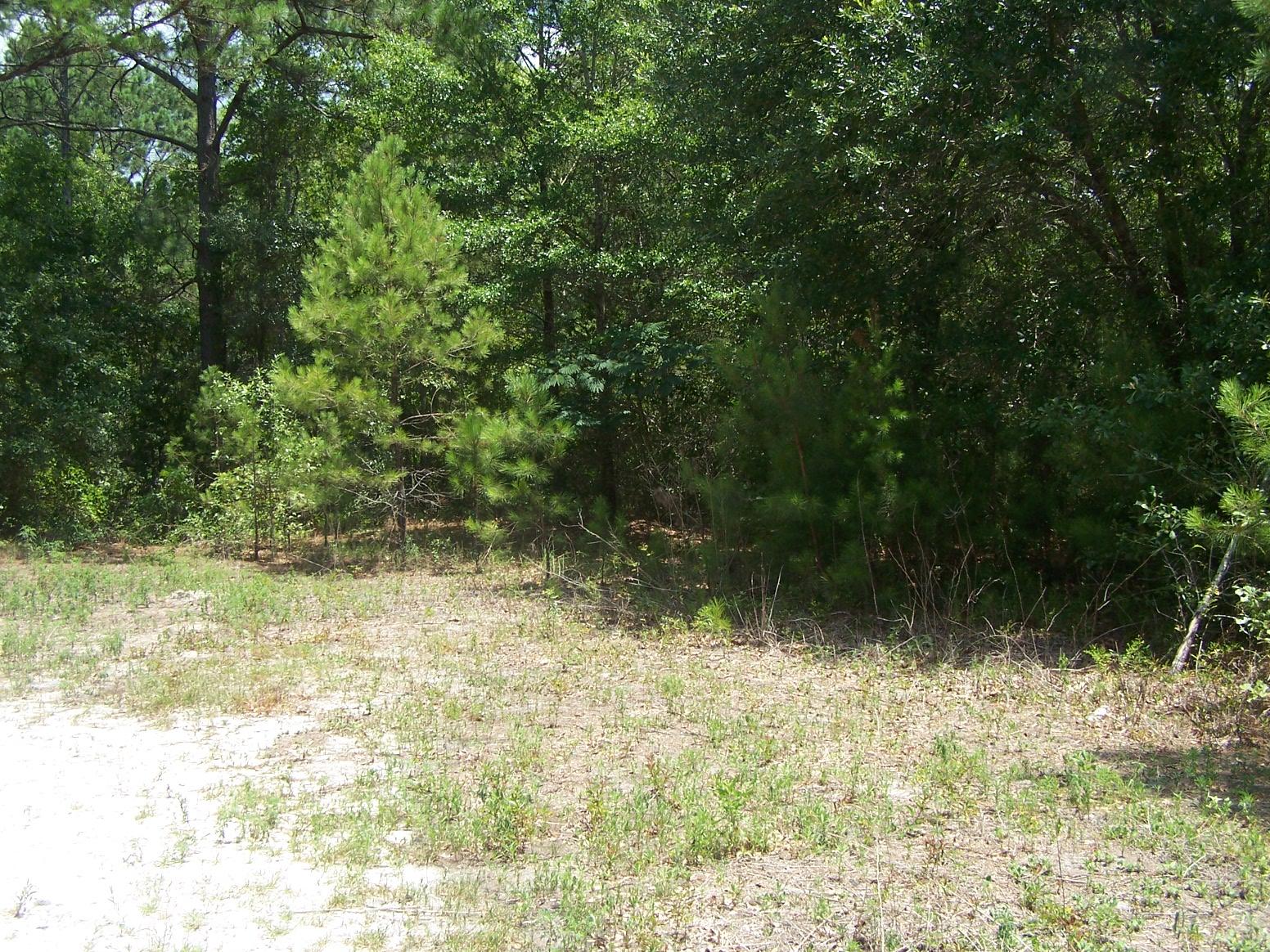 1-2 3 Ruth Road Freeport, FL 32439 - Photo 4 of 5 Gallery Image 4