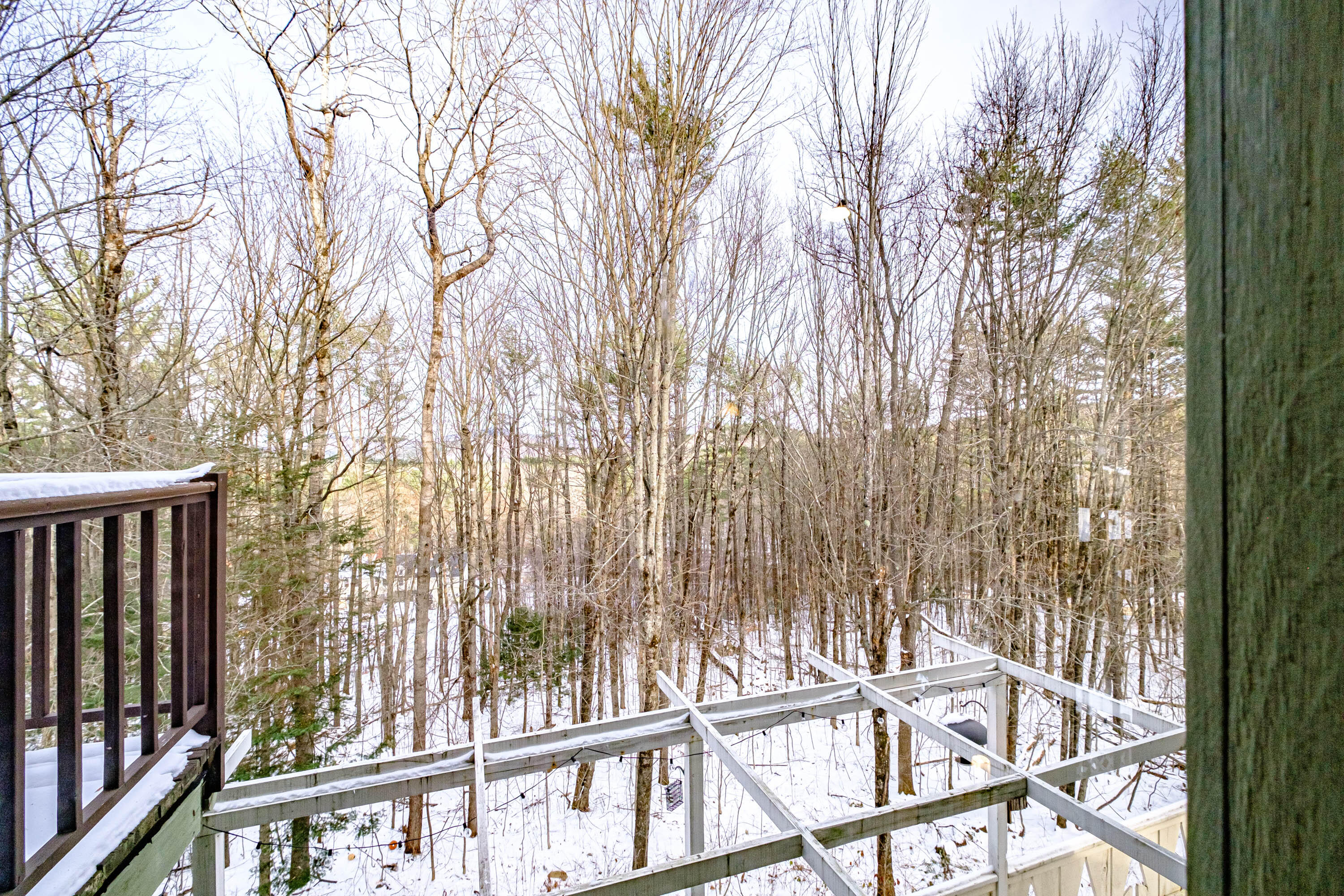 11 Beech Road Greenwood, ME 04255 - Photo 35 of 71 20221121gp-63062