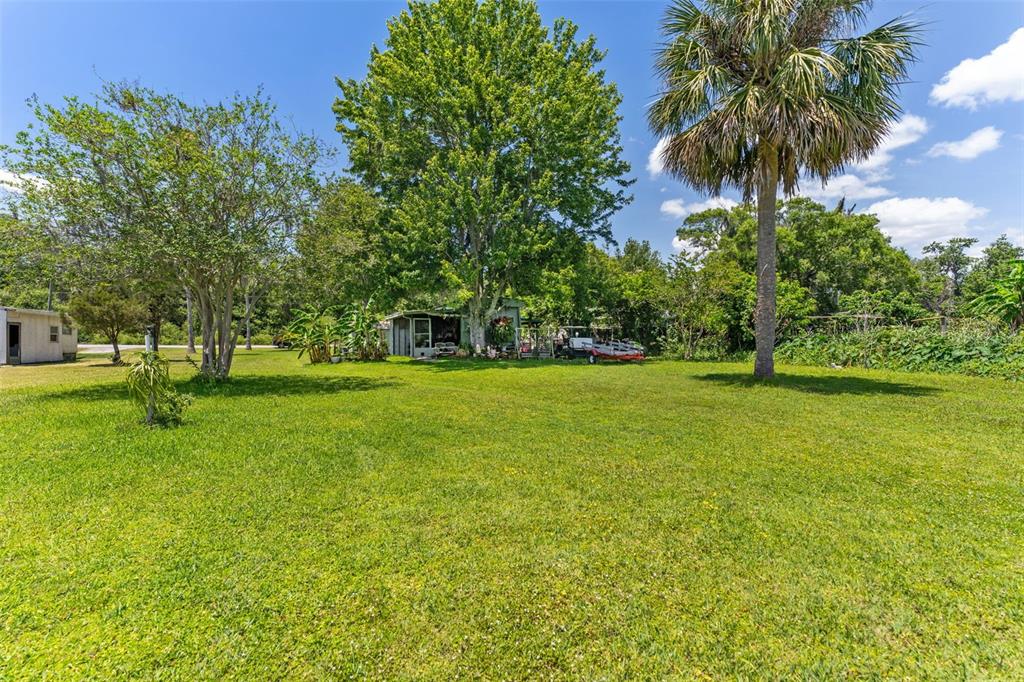 7570 Berkley Road Polk City, FL 33868 - Photo 11 of 16 a view of a trees with a big yard