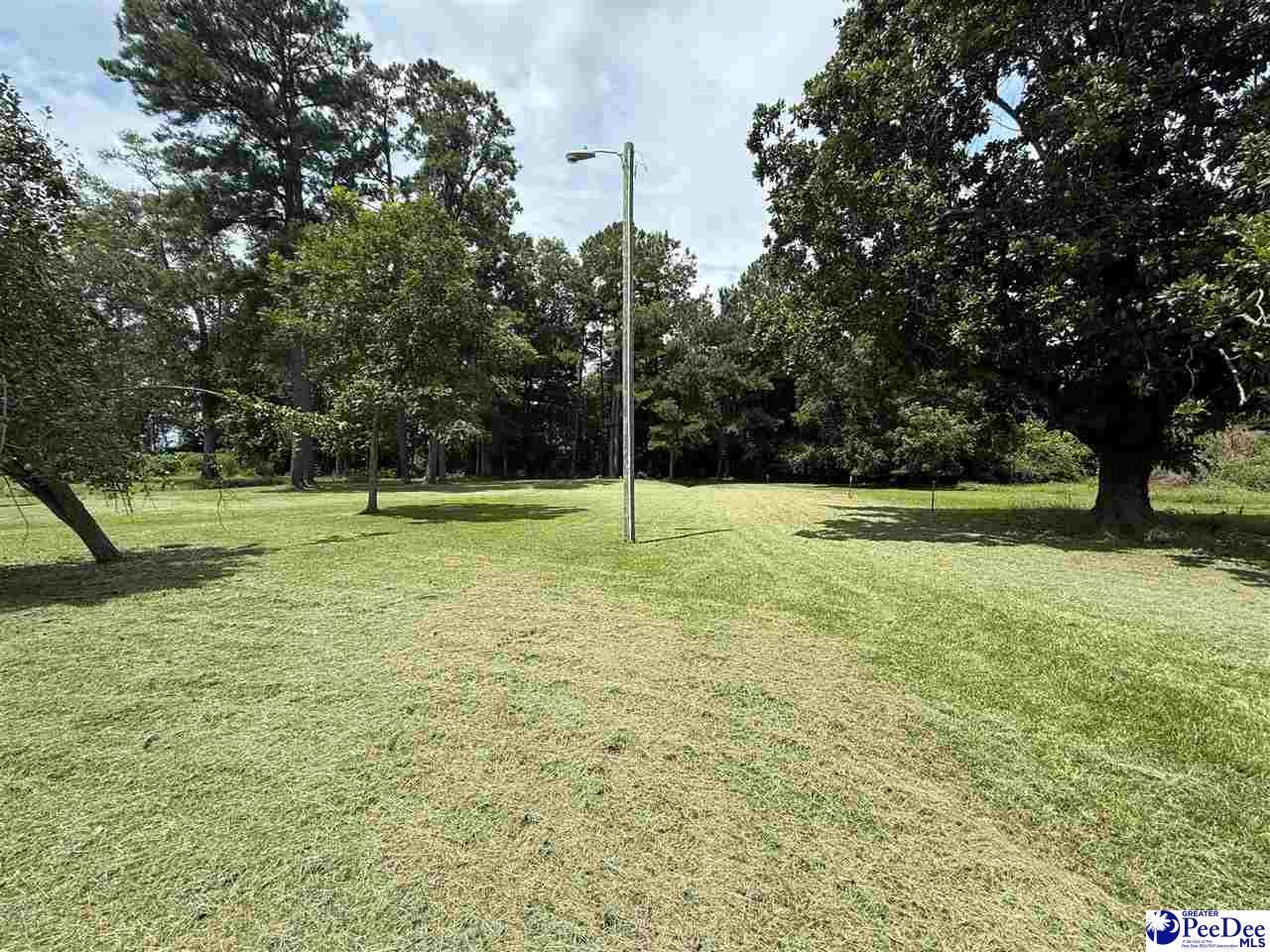 195 South Lane Road Lane, SC 29564 - Photo 8 of 25 Gallery Image 8
