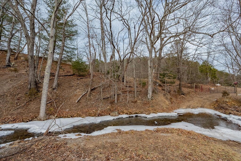 Tbd Spur Branch Road, Unit 4 Dublin, VA 24084 - Photo 53 of 85 Gallery Image 53