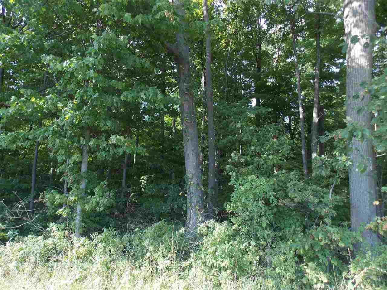 14819 South County Line Road Hoagland, IN 46745 - Photo 1 of 3