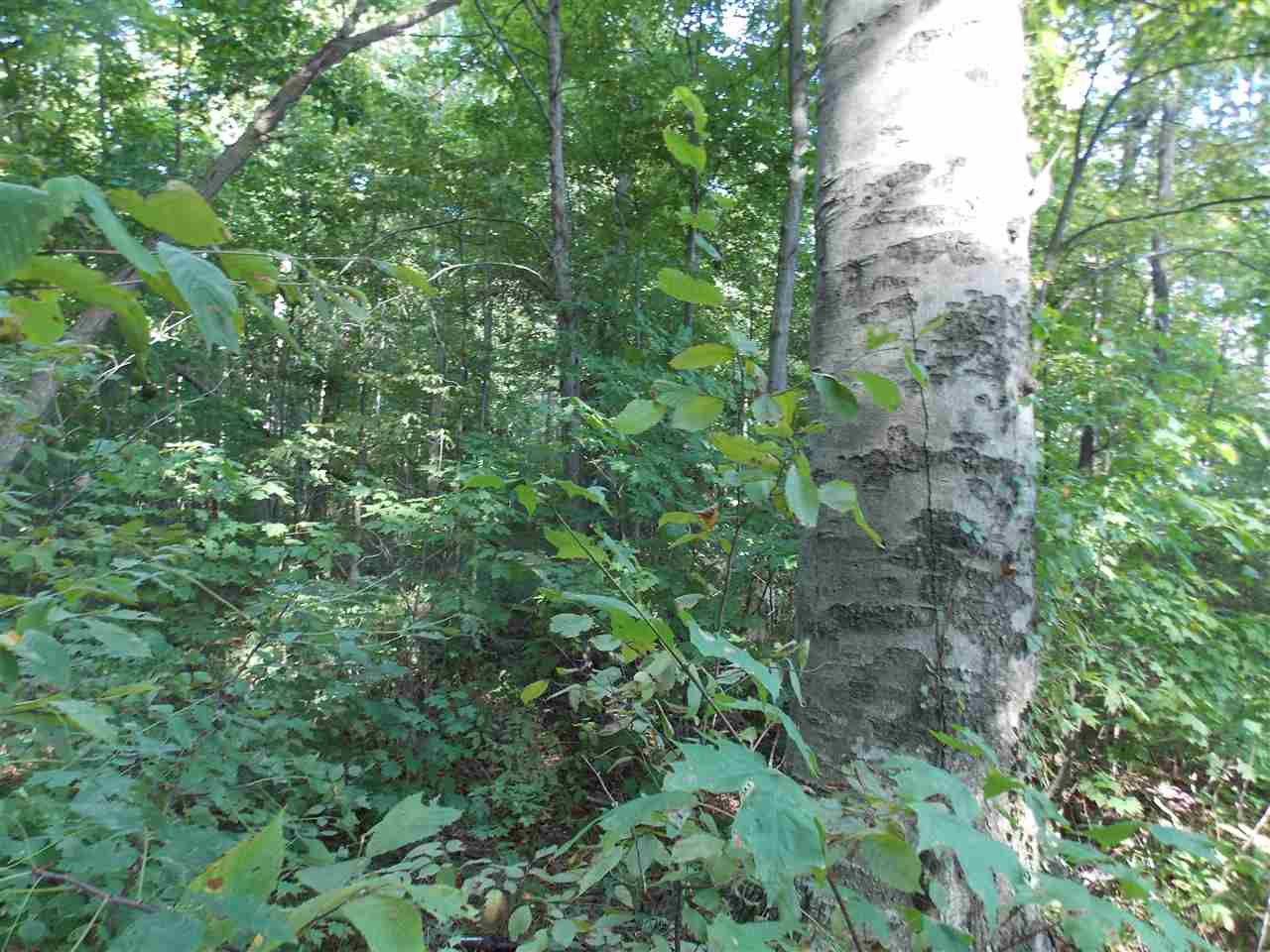 14819 South County Line Road Hoagland, IN 46745 - Photo 2 of 3