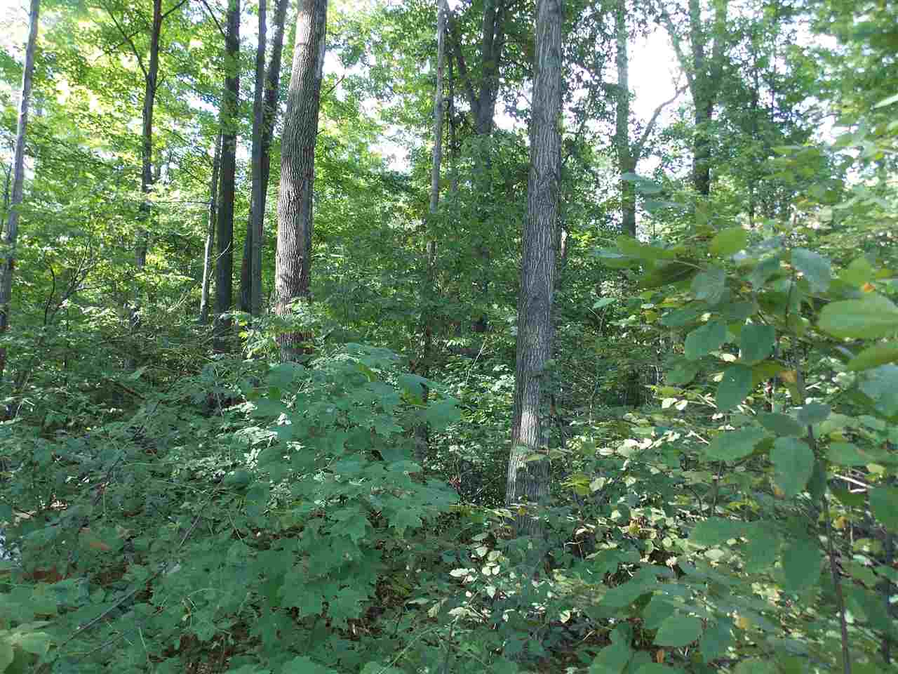 14819 South County Line Road Hoagland, IN 46745 - Photo 3 of 3