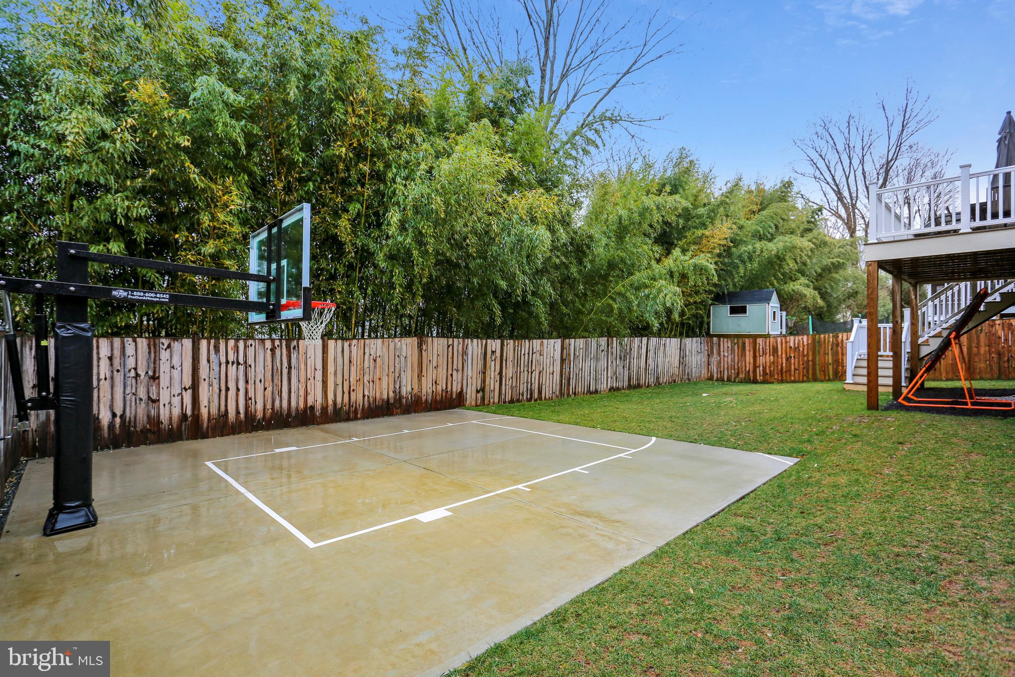 8615 Rayburn Road Bethesda, MD 20817 - Photo 56 of 59 Bamboo privacy trees covers the backyard