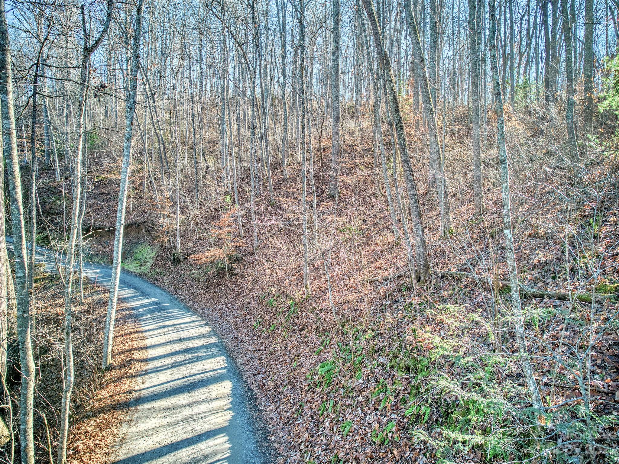0 Turtle Creek Road, Unit 5 12 Sylva, NC 28779 - Photo 2 of 8 Gallery Image 2