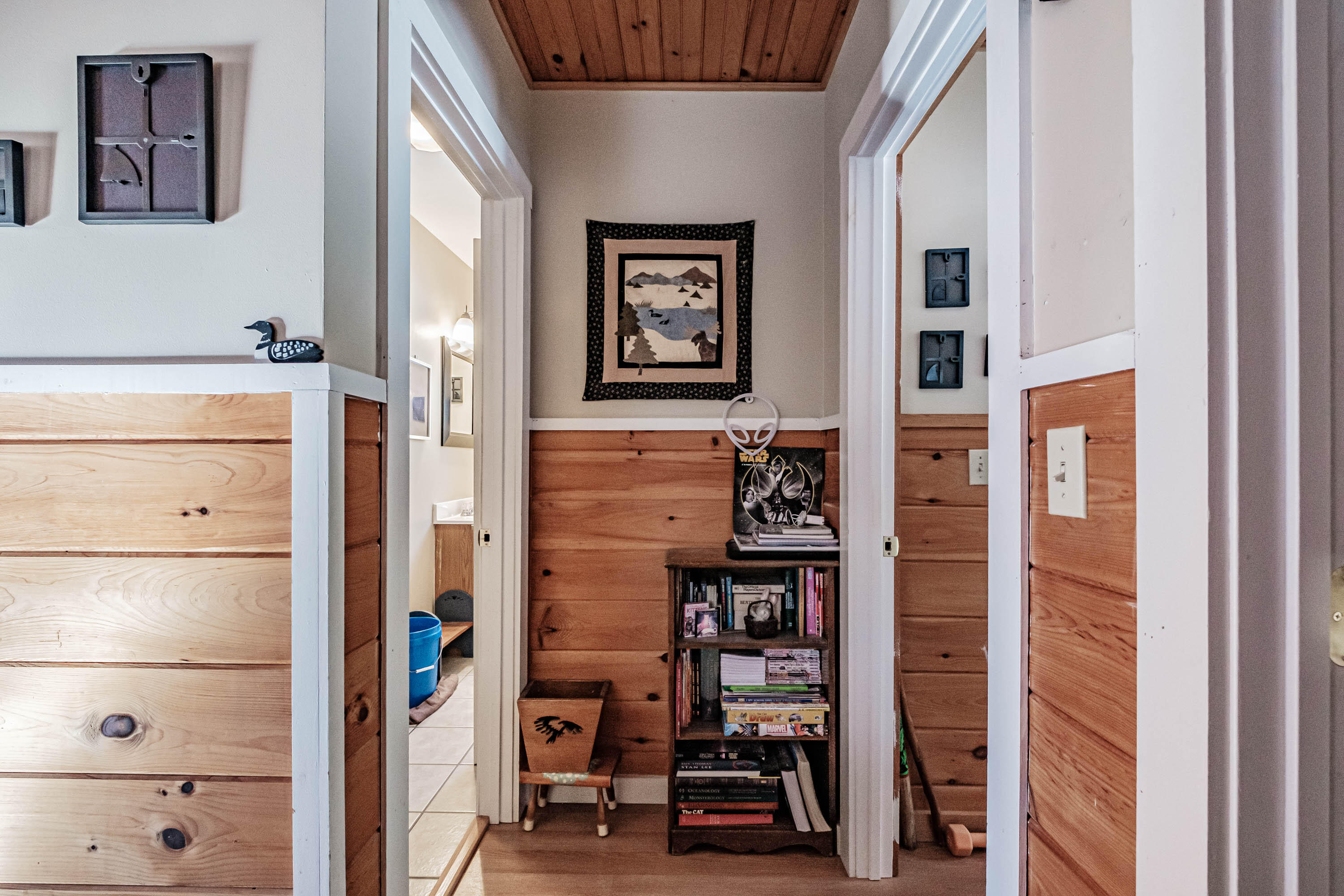 33 Ledge Road Sebago, ME 04029 - Photo 28 of 32 20230303gp-60029