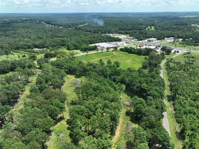 an aerial view of residential houses with outdoor space and trees