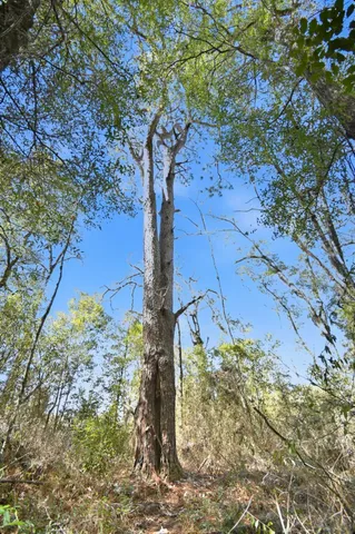 $235,000 | 180 Wildflower Lane, Crawfordville, FL 32327