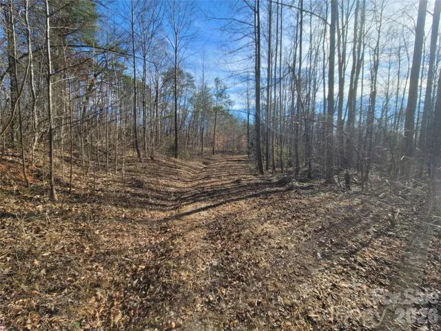 $249,000 | 0 Smith And Waldrop Road, Columbus, NC 28722