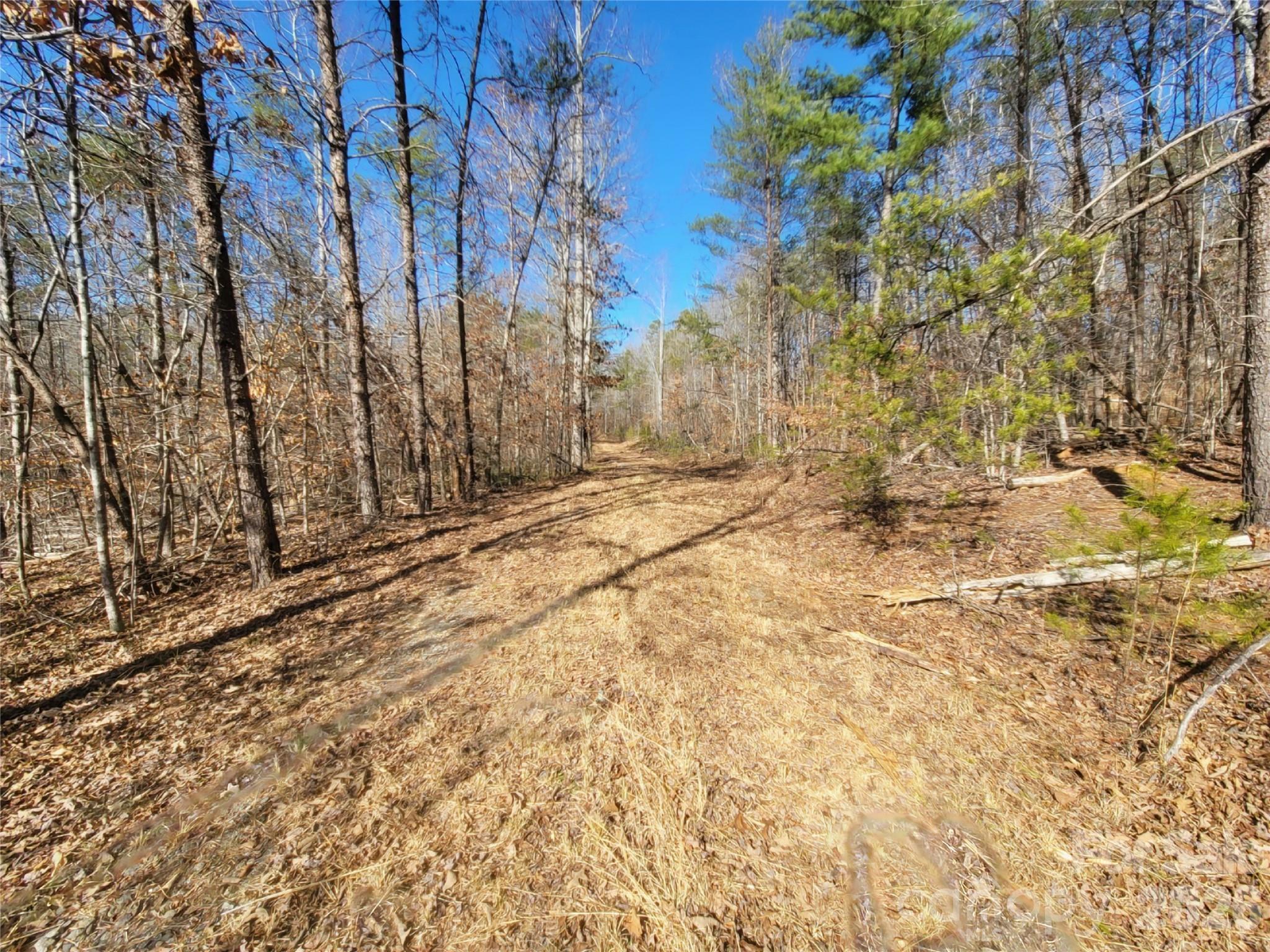 0 Smith And Waldrop Road Columbus, NC 28722 - Photo 6 of 7