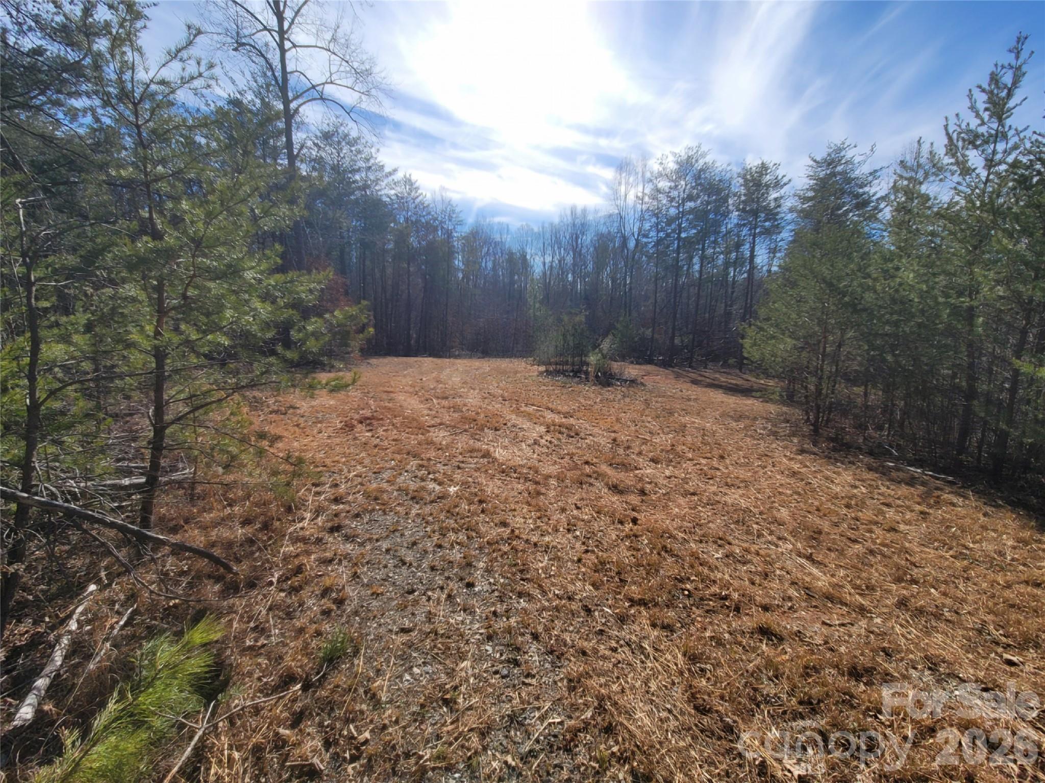 0 Smith And Waldrop Road Columbus, NC 28722 - Photo 6 of 8 a backyard of a house