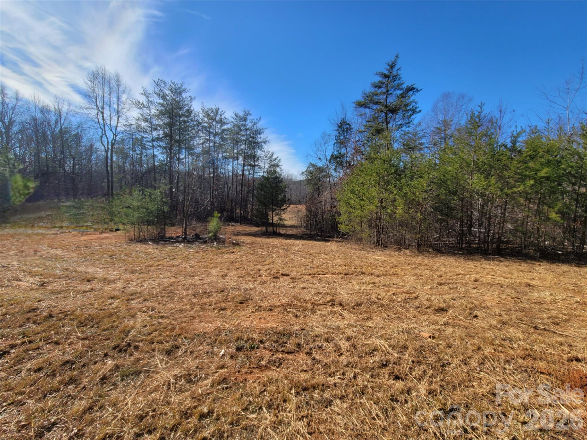 0 Smith And Waldrop Road Columbus, NC 28722 - Photo 8 of 8 a view of outdoor space and yard