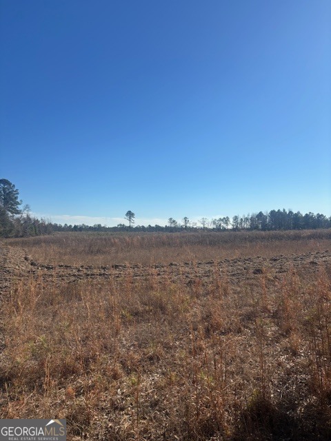 0 Star Fish Lane Lyons, GA 30436 - Photo 3 of 10