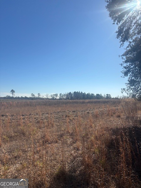 0 Star Fish Lane Lyons, GA 30436 - Photo 4 of 10
