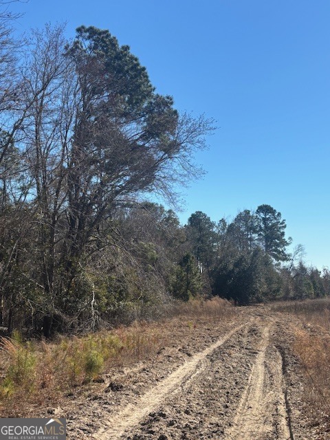 0 Star Fish Lane Lyons, GA 30436 - Photo 4 of 8 a view of a dry yard with trees