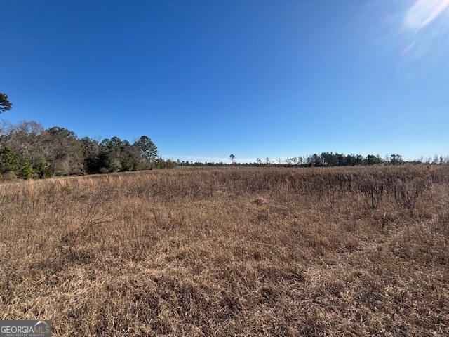 0 Star Fish Lane Lyons, GA 30436 - Photo 5 of 10