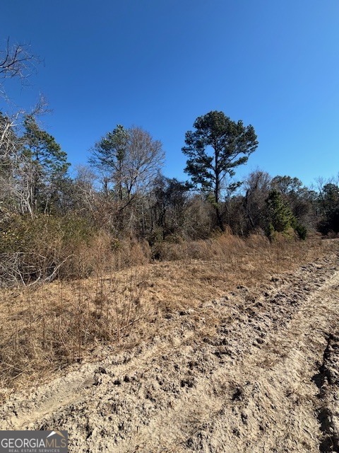 0 Star Fish Lane Lyons, GA 30436 - Photo 5 of 8 a view of a dry yard with trees