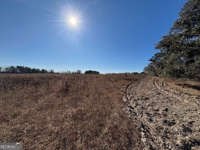 0 Star Fish Lane Lyons, GA 30436 - Photo 7 of 10