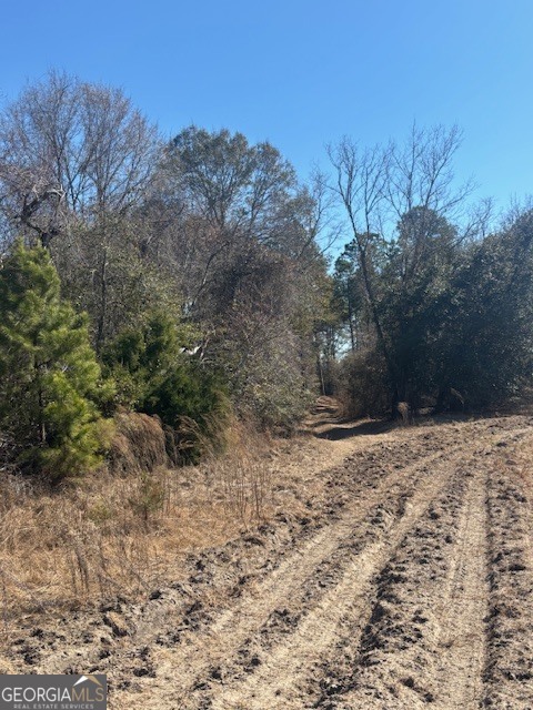 0 Star Fish Lane Lyons, GA 30436 - Photo 8 of 8 a view of a yard covered with snow in the background