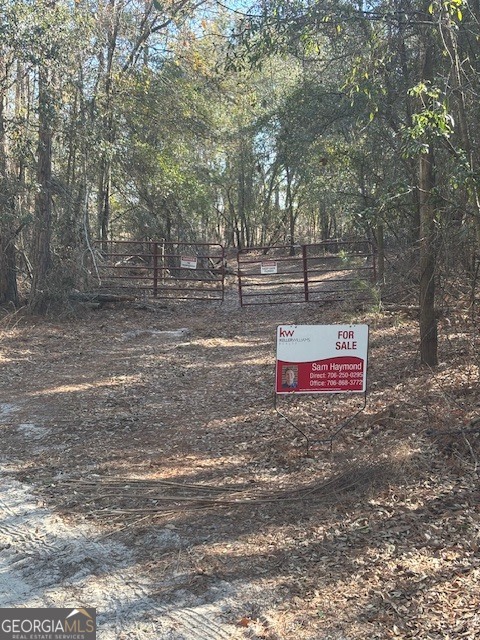 0 Star Fish Lane Lyons, GA 30436 - Photo 9 of 10