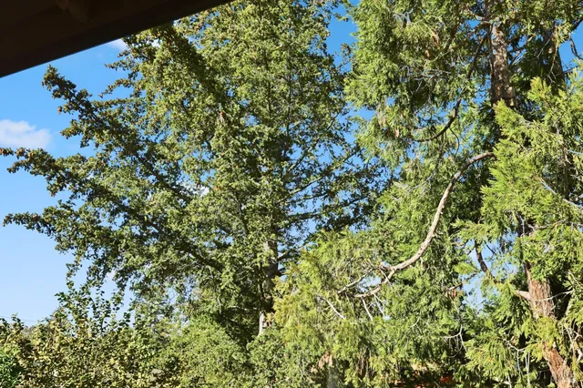 $890,000 | 735 Carr Avenue, Santa Rosa, CA 95404